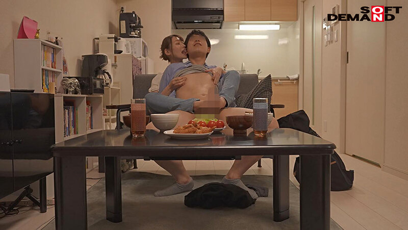 1SDJS00174 サンプル13