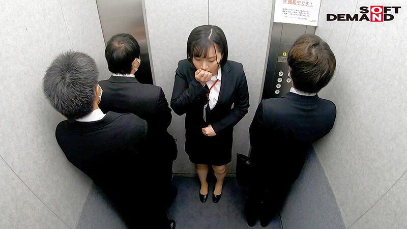 1SDJS00181 サンプル14