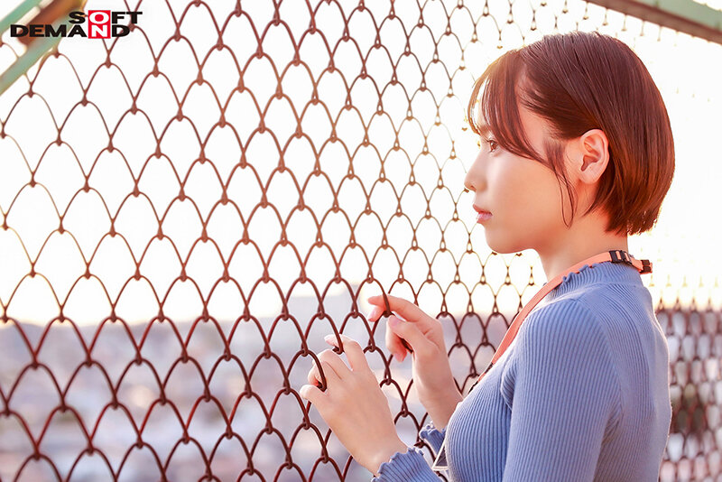 1SDJS00189 サンプル6