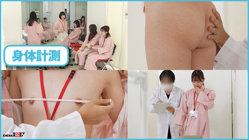 1SDJS00300 サンプル3