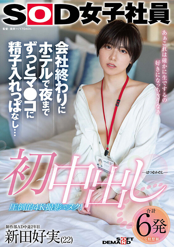 1SDJS00313 サンプル1