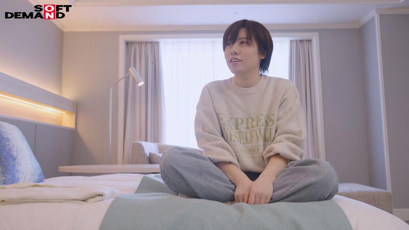 1SDJS00313 サンプル2