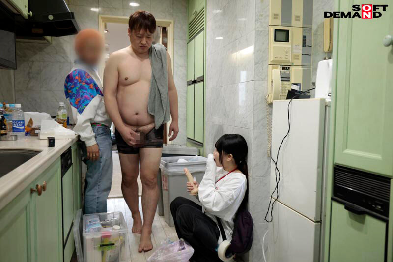 1SDJS00324 サンプル3