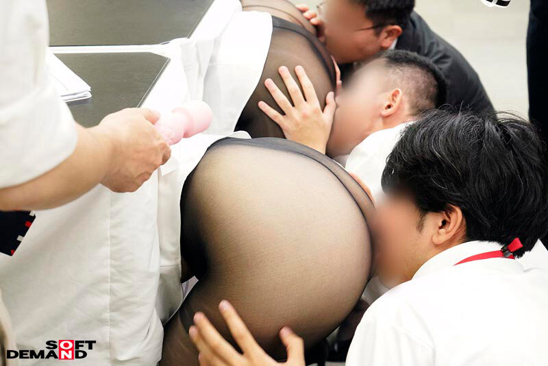 1SDJS00343 サンプル17