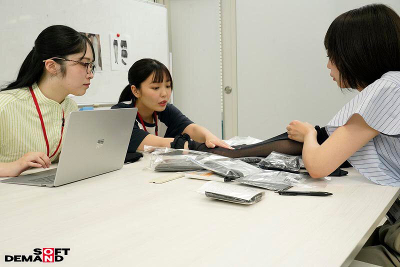 1SDJS00343 サンプル3