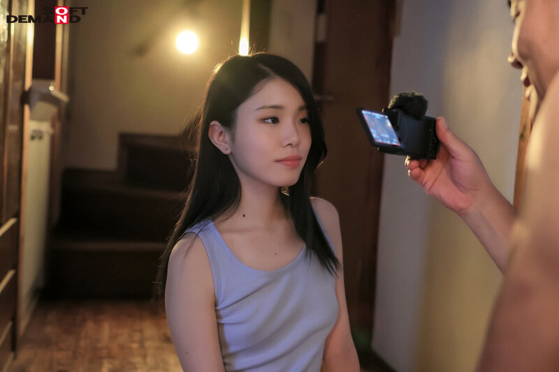 1SDMF00047 サンプル16