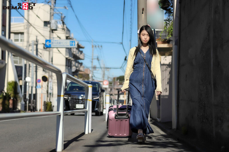 1SDMF00047 サンプル5