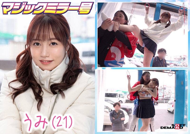 1SDMM00195 サンプル18