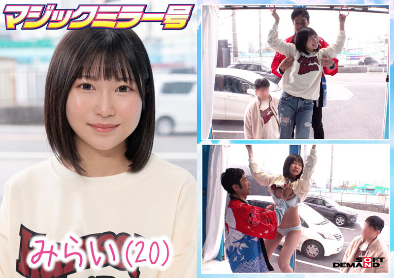 1SDMM00195 サンプル4