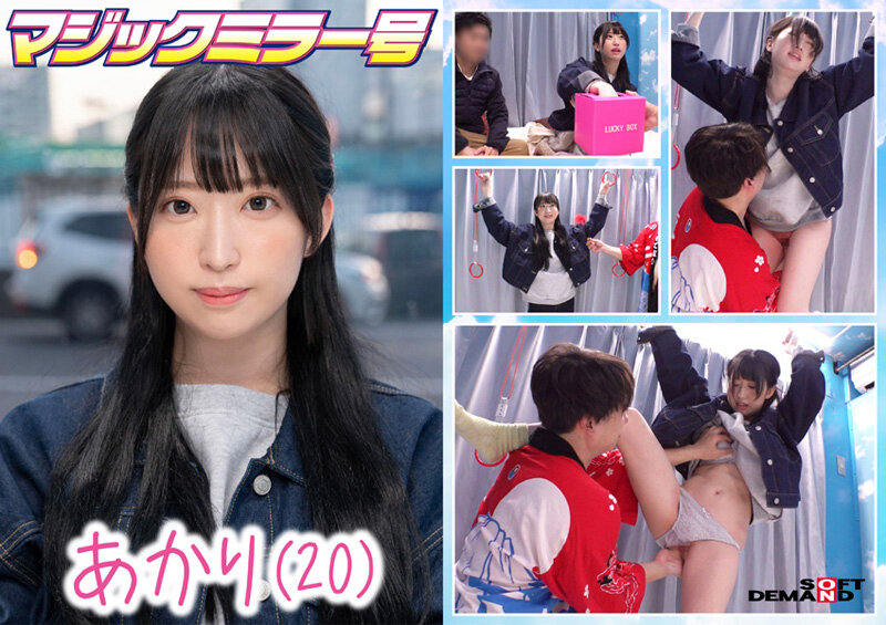 1SDMM00195 サンプル6