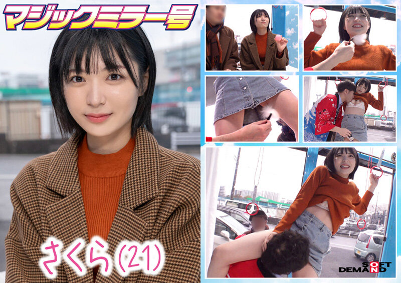 1SDMM00195 サンプル8