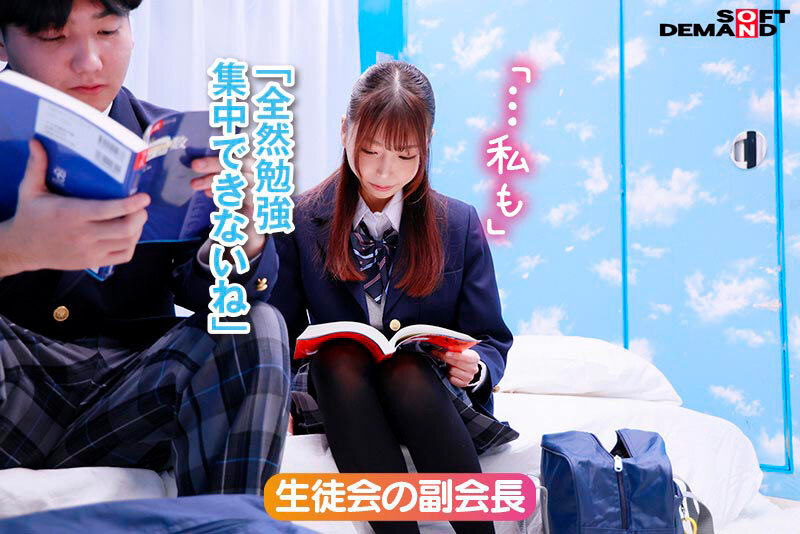 1SDMM00201 サンプル10