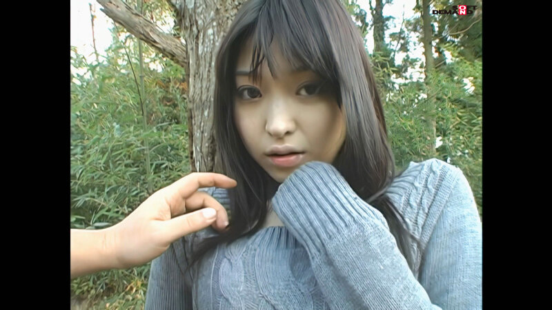 1SDMT00665AI サンプル18