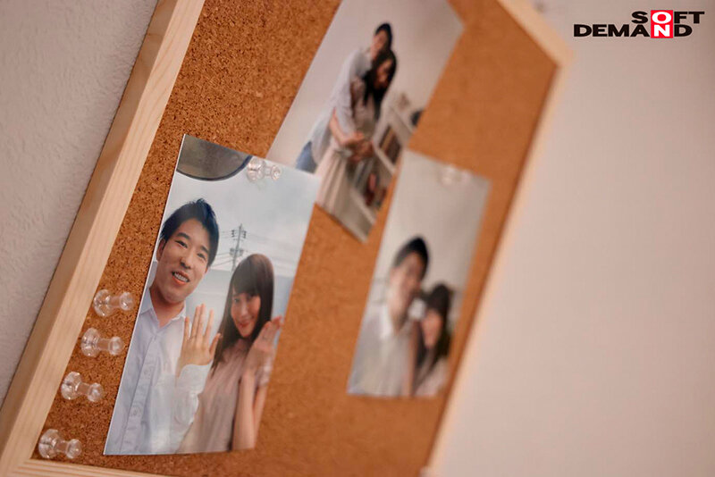 1SDMUA00047 サンプル3