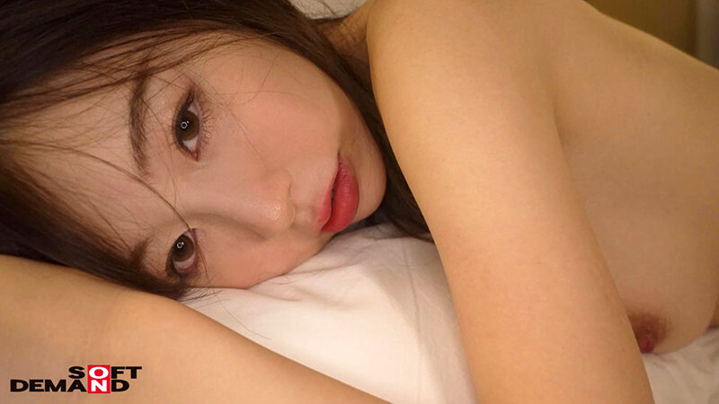 1SDNM00330 サンプル18