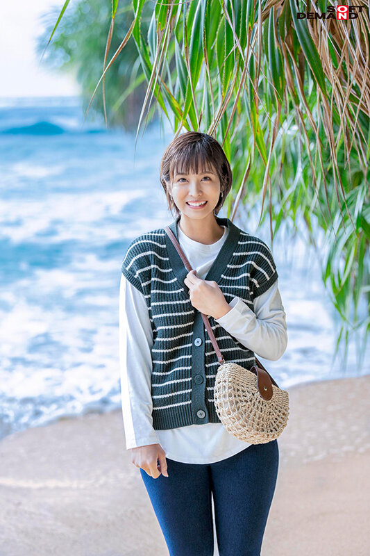 1SDNM00333 サンプル1