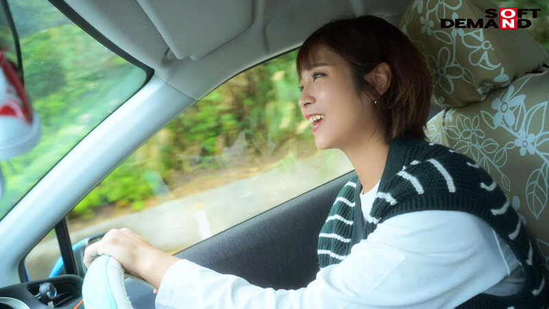 1SDNM00333 サンプル4