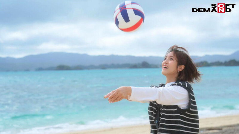 1SDNM00333 サンプル5