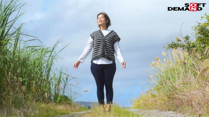 1SDNM00333 サンプル6