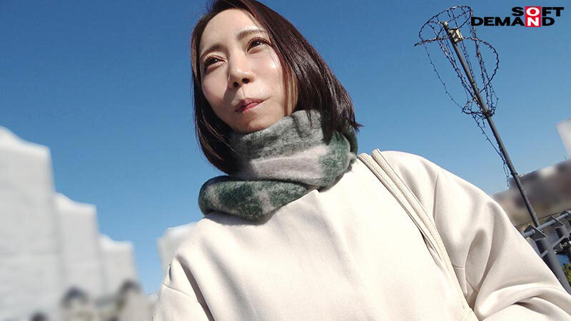 1SDNM00476 サンプル16