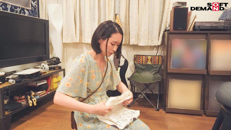 1SDNM00493 サンプル6