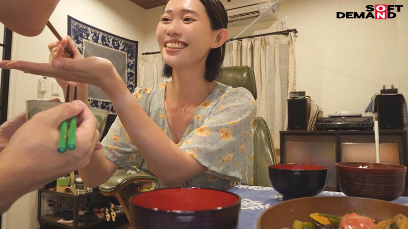 1SDNM00493 サンプル7