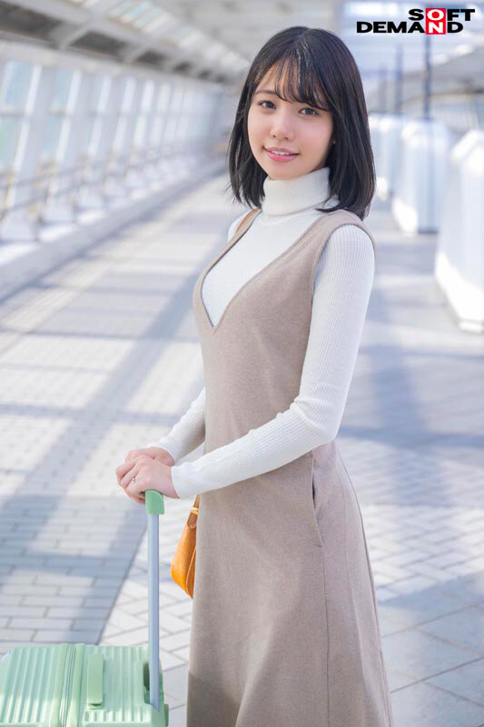 1SDNM00499 サンプル4