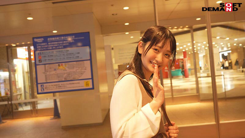 1SDNM00504 サンプル16