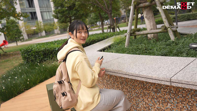 1SDNM00504 サンプル4