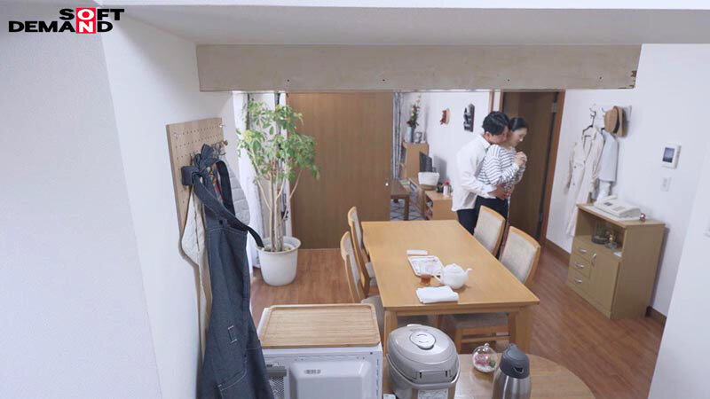 1SDNM00508 サンプル11