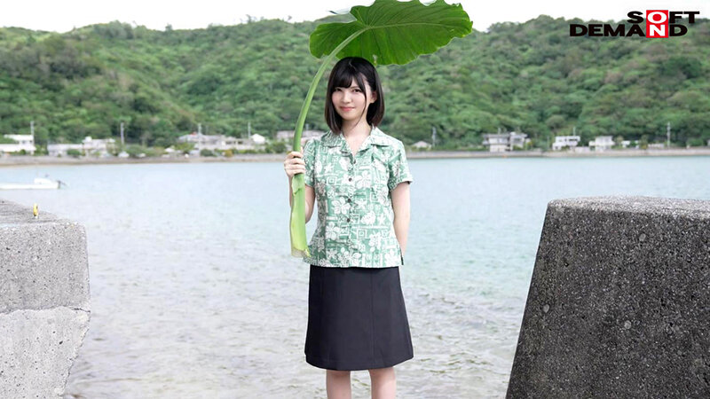 1SDTH00035 サンプル4