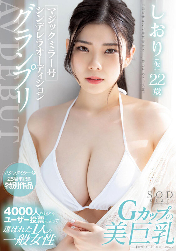 1SODS00068 サンプル2