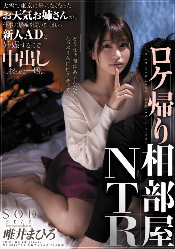 1SODS00072 サンプル3