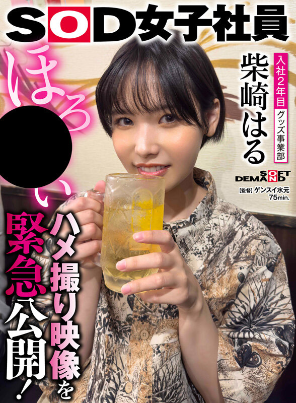 1SODS00079 サンプル11