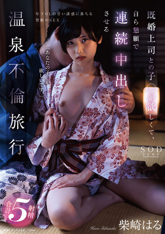 1SODS00079 サンプル13