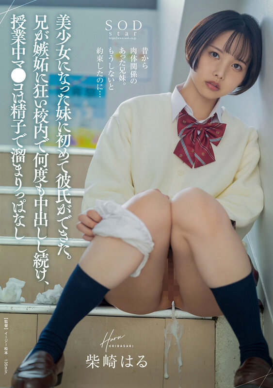 1SODS00079 サンプル14