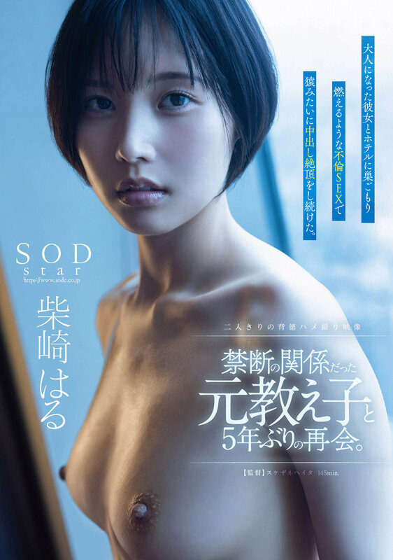 1SODS00079 サンプル19