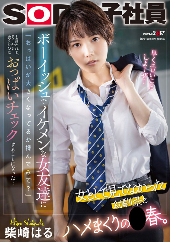 1SODS00079 サンプル9