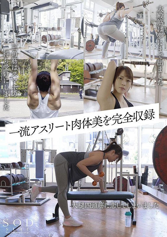 1STARS00424 サンプル3