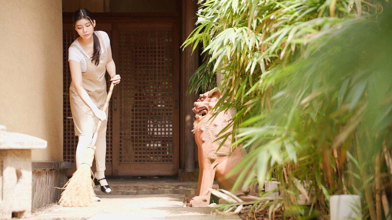 1STARS00947 サンプル3