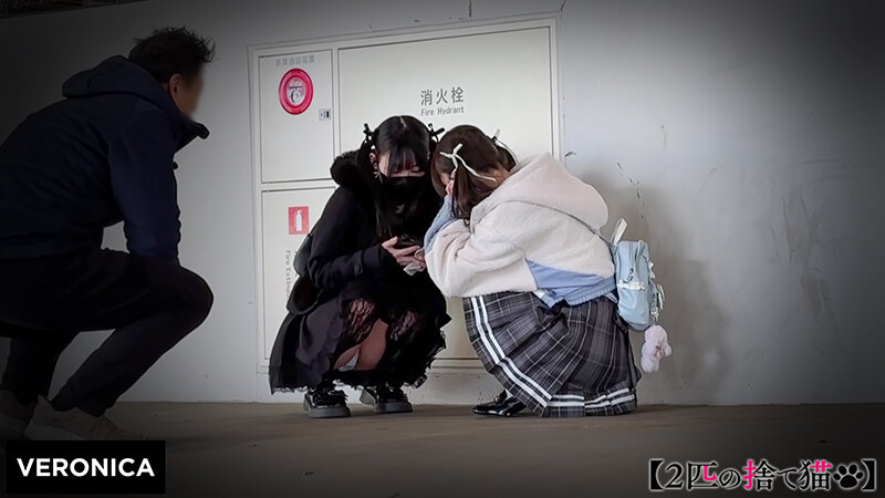 1VRNC00053 サンプル1