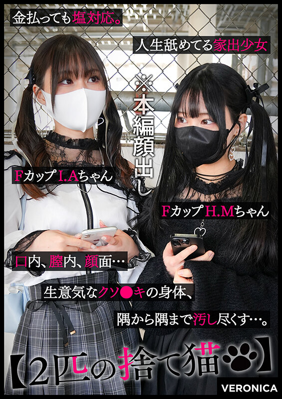 1VRNC00053 サンプル12