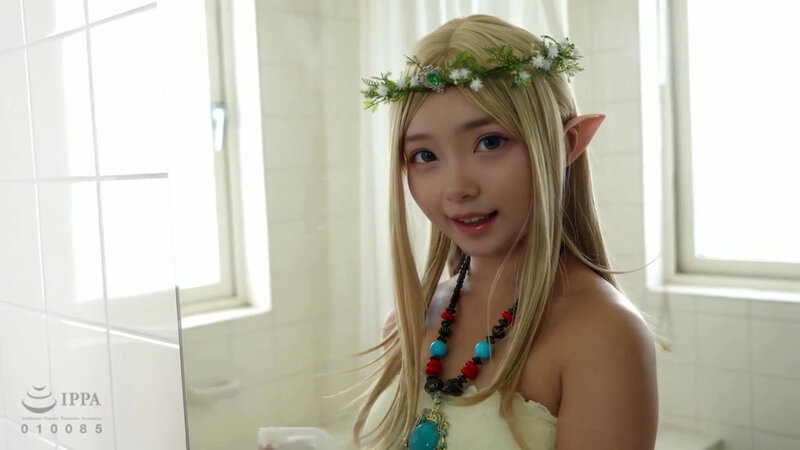 55FAYS00011 サンプル1