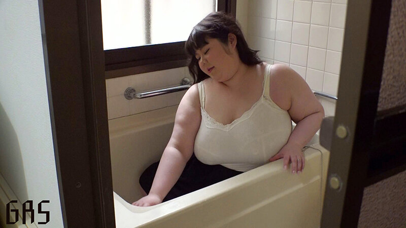 71GAS00529 サンプル1