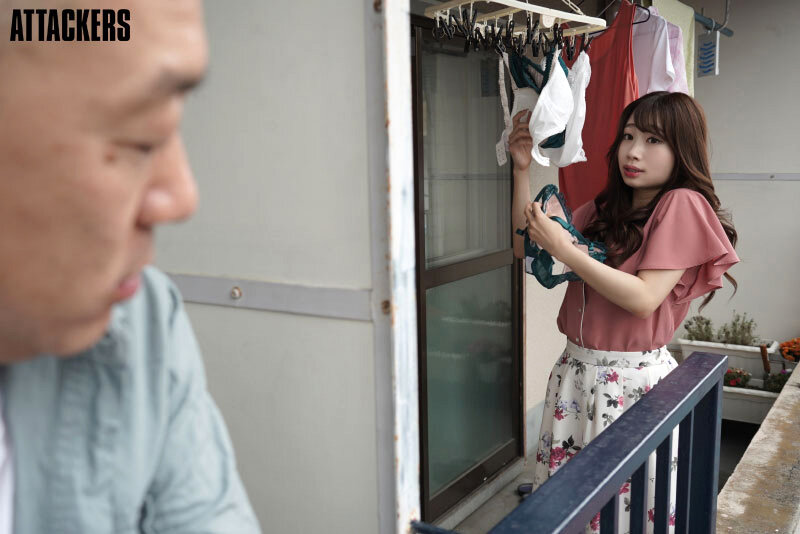 ADN00433 サンプル10