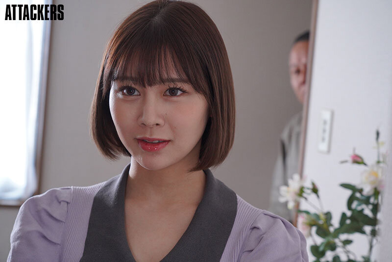 ADN00614 サンプル2