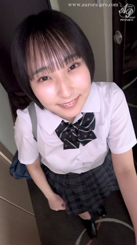 APGH00054 サンプル1