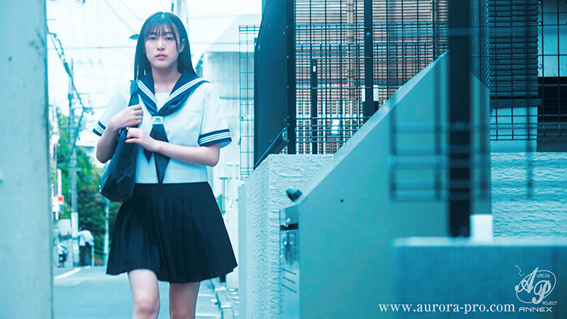 APNS00369 サンプル1