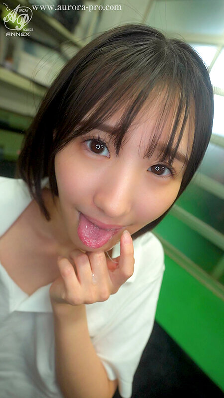 APNS00408 サンプル2