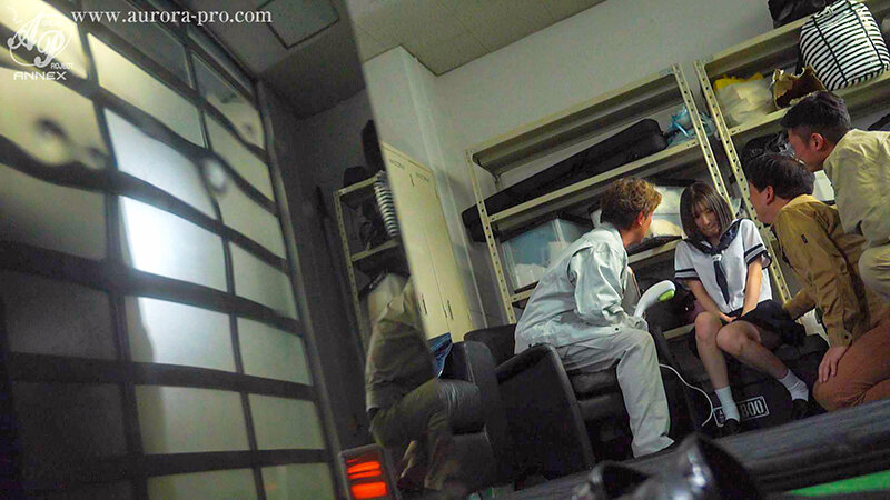 APNS00408 サンプル6